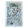 Botanical plate 1927, 18.5x27.5cm