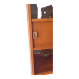Modernist bookcase / display case