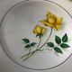 6 assiettes plates blanches rose jaune Moulin des loups Orchies