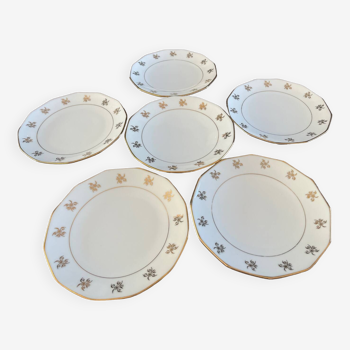 6 Anvian dessert plates