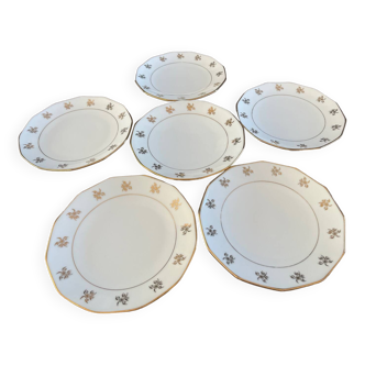 6 Anvian dessert plates