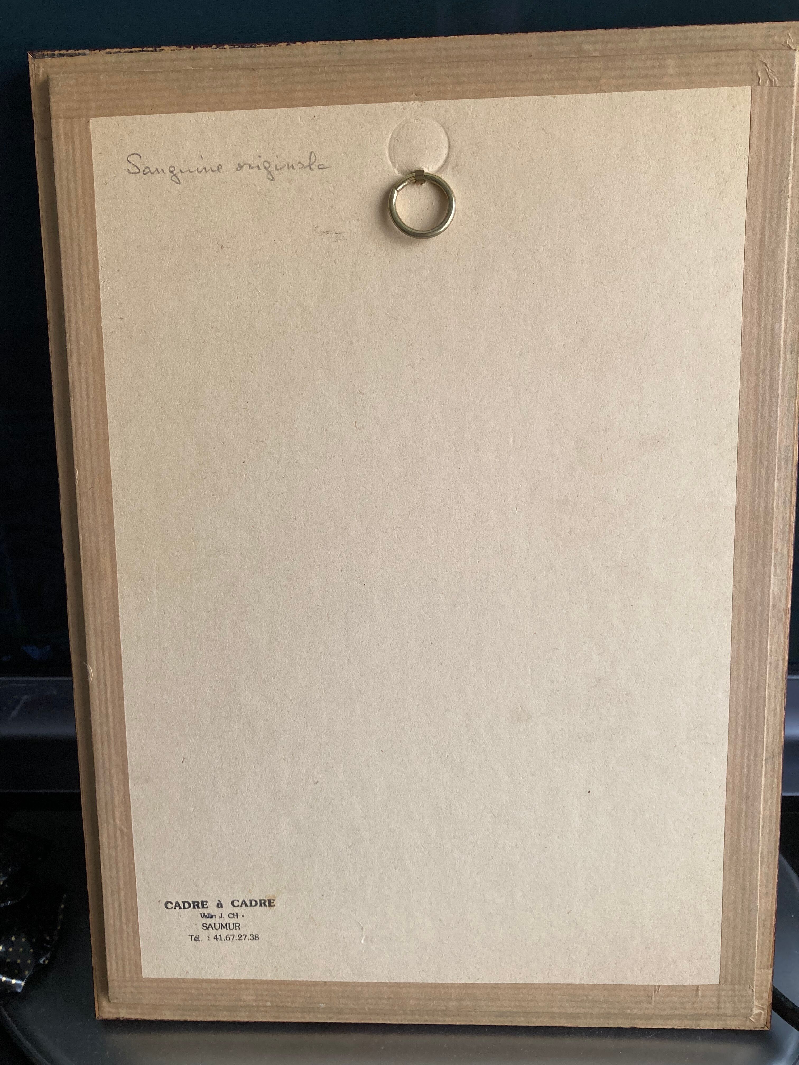 Sanguine canvas female nude pencil