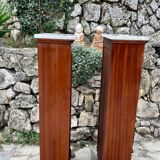 Pair of empire style mahogany bibuses