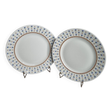 Pair of Limoges Renaud & Cie flat plates, "Vieux Nyon" model, 23.5 cm