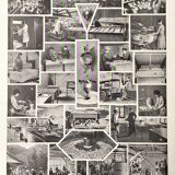 Old illustration Millot "eggs"