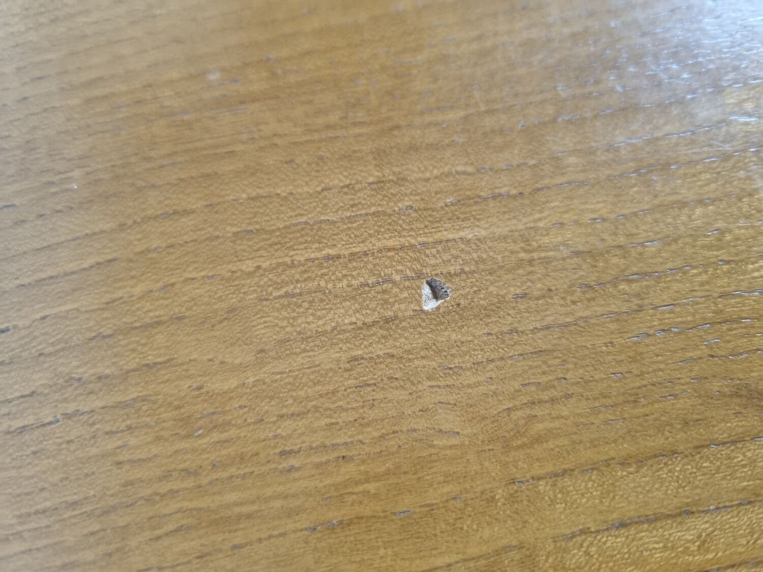 Table à manger en orme de Luigi Gorgoni années 80