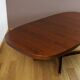 Table Ovale & Pied Central Vintage Année 1960 / 1970