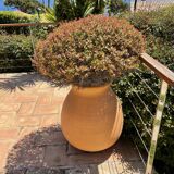 Terracotta jar height 80
