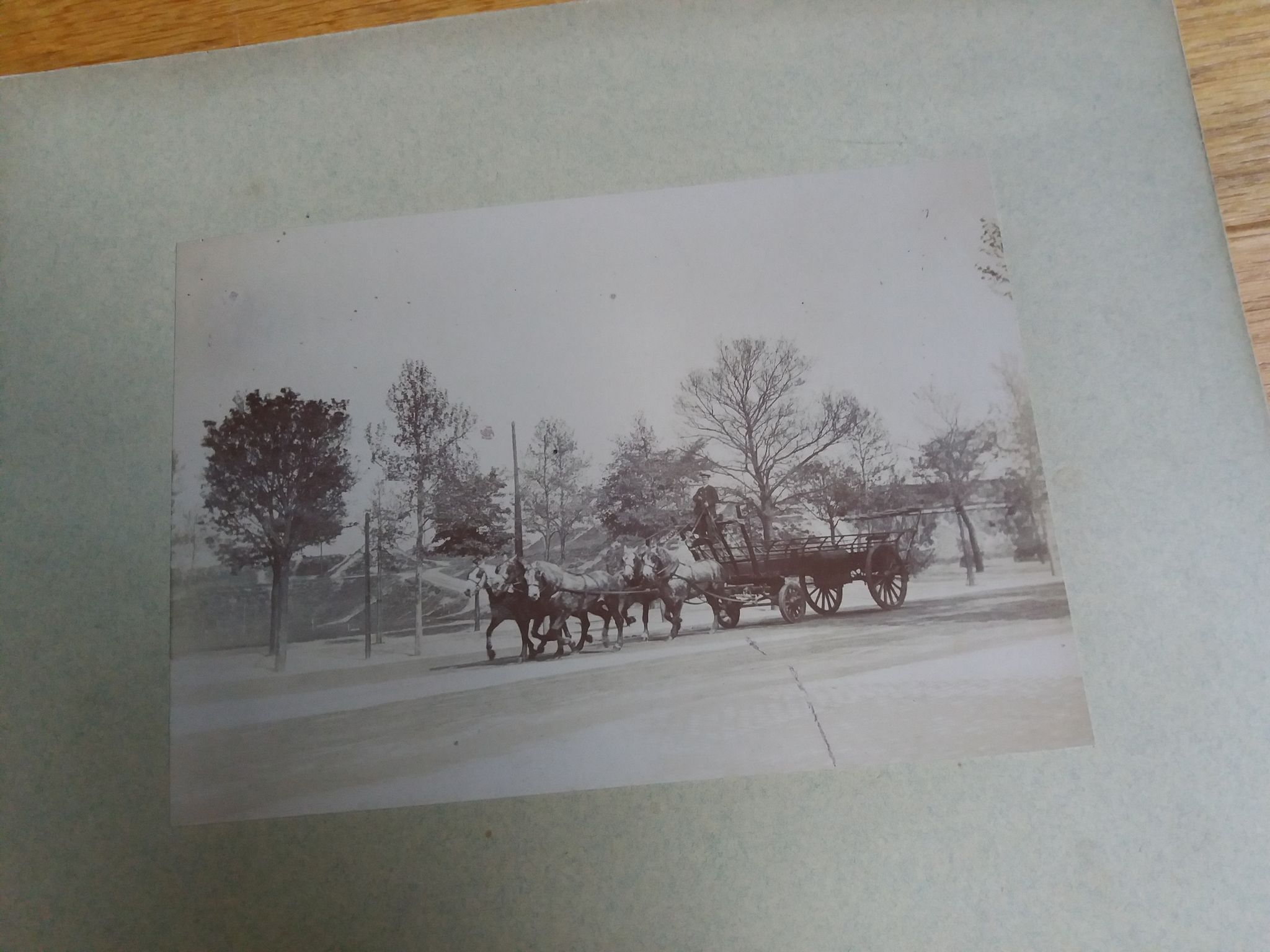 Photographie ancienne 1900 carriole cocher et chevaux