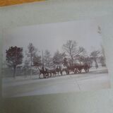 Old photograph 1900 cart, coachman and horses