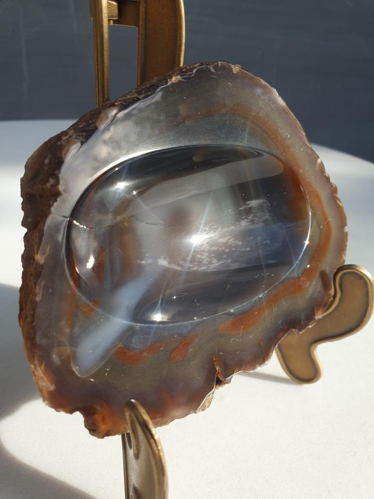 Petrified wood pocket tray
