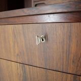 1960s Danish Secretary/Writing Cabinet by BRDR Larsen in Palisander
