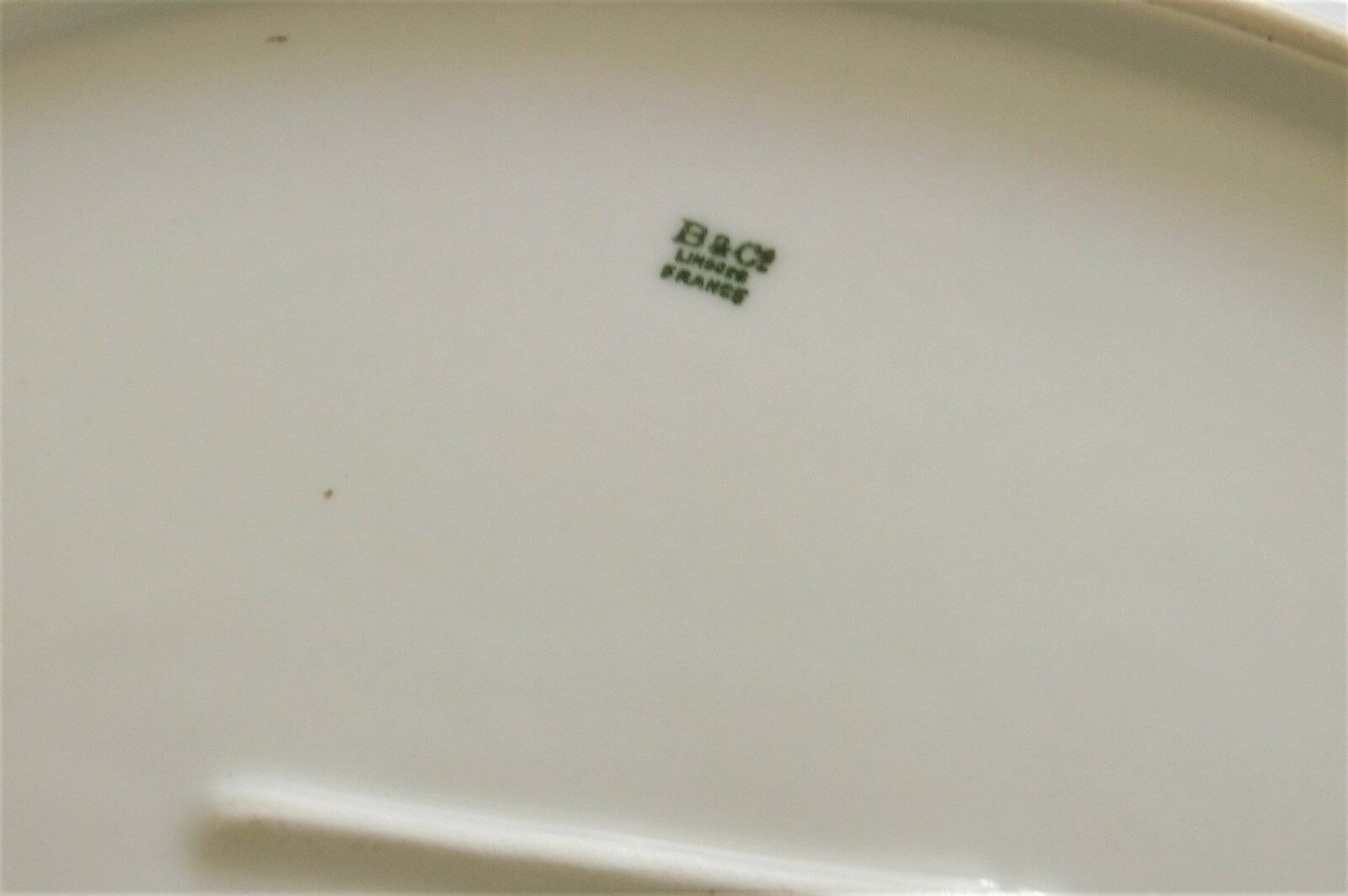 Large flat Limoges B&Cie old floral decor