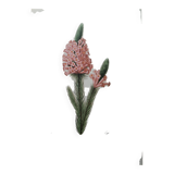 Planche illustrée originale Bruyère