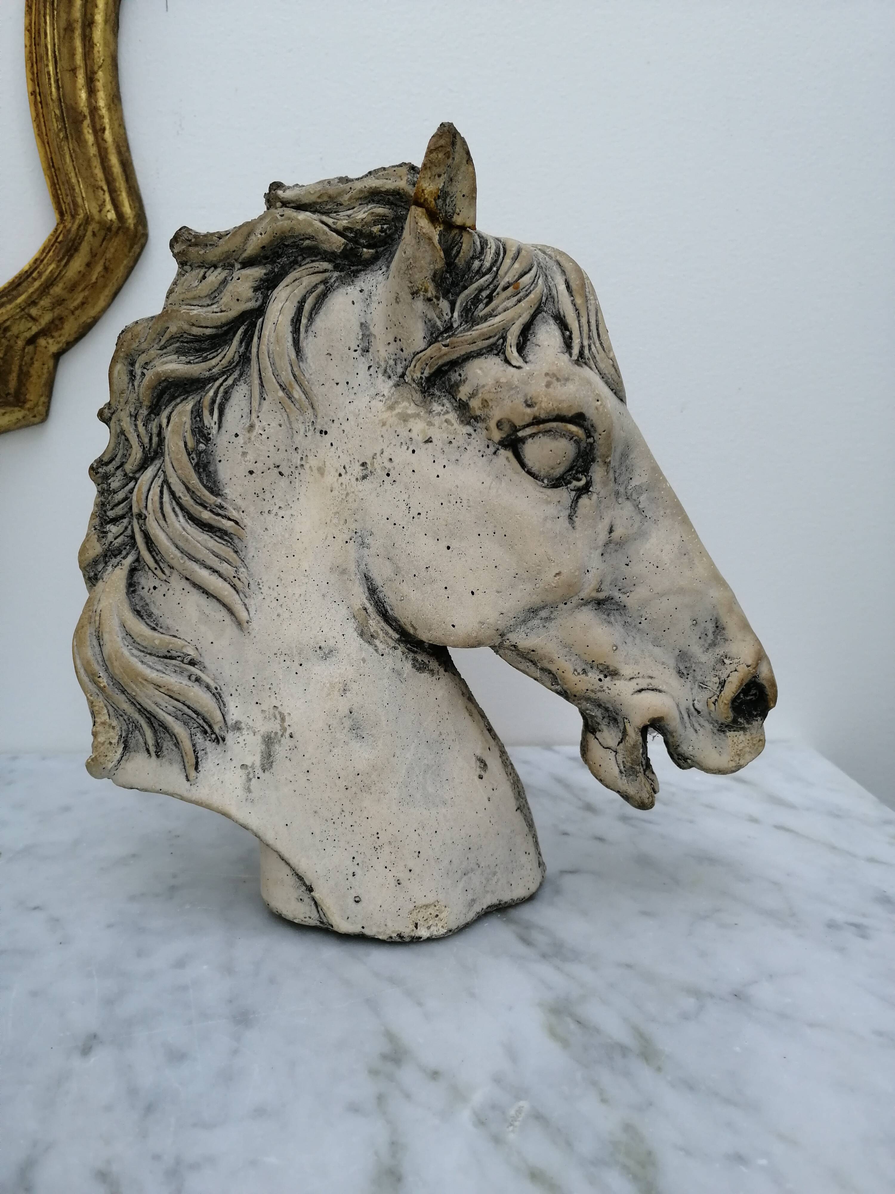 Horse heads