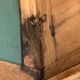 Art Deco Parisian glass-fronted wardrobe, demountable