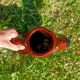 Carafe/Pitcher Dog motif