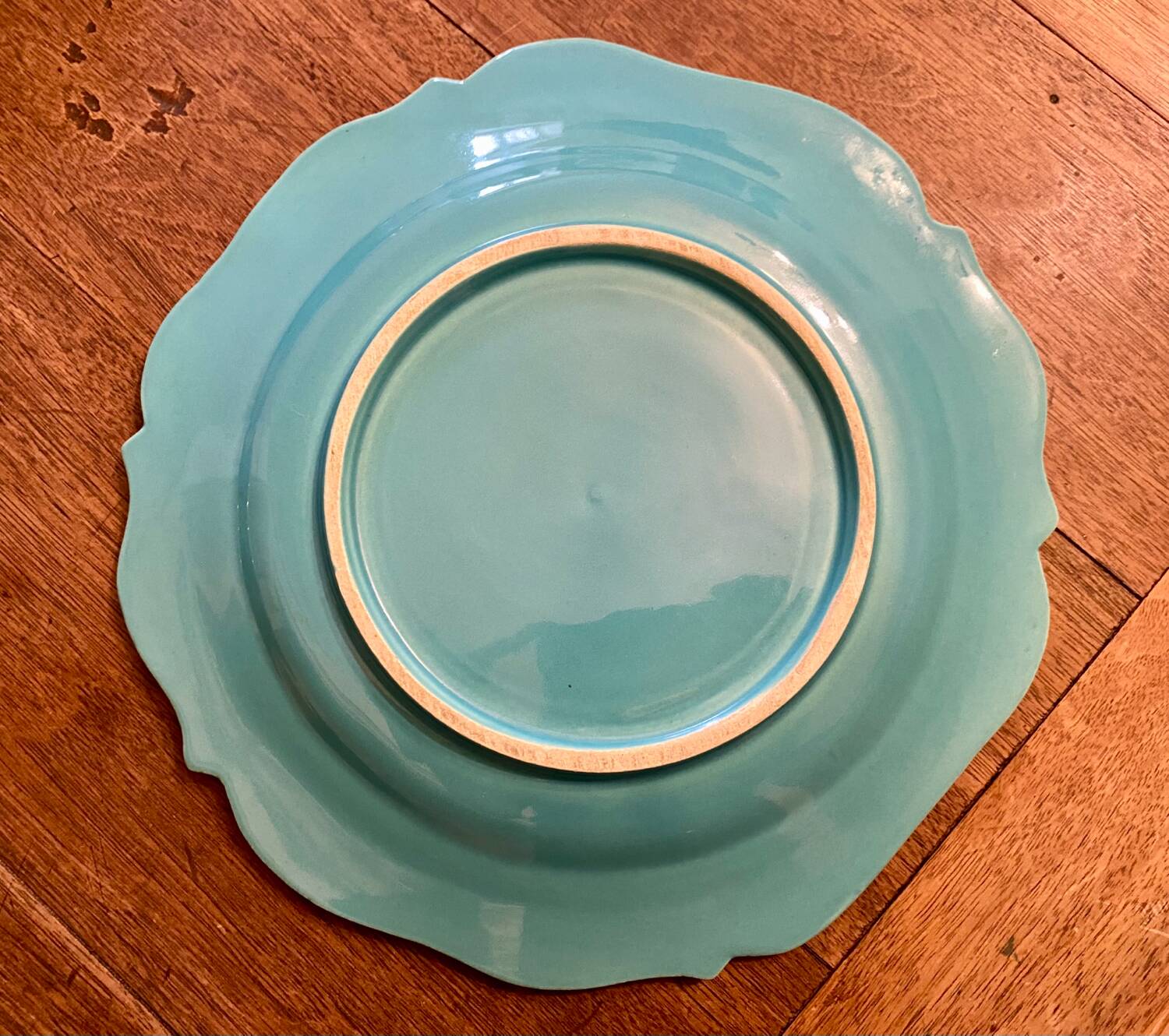 5 vintage barbotine asparagus plates