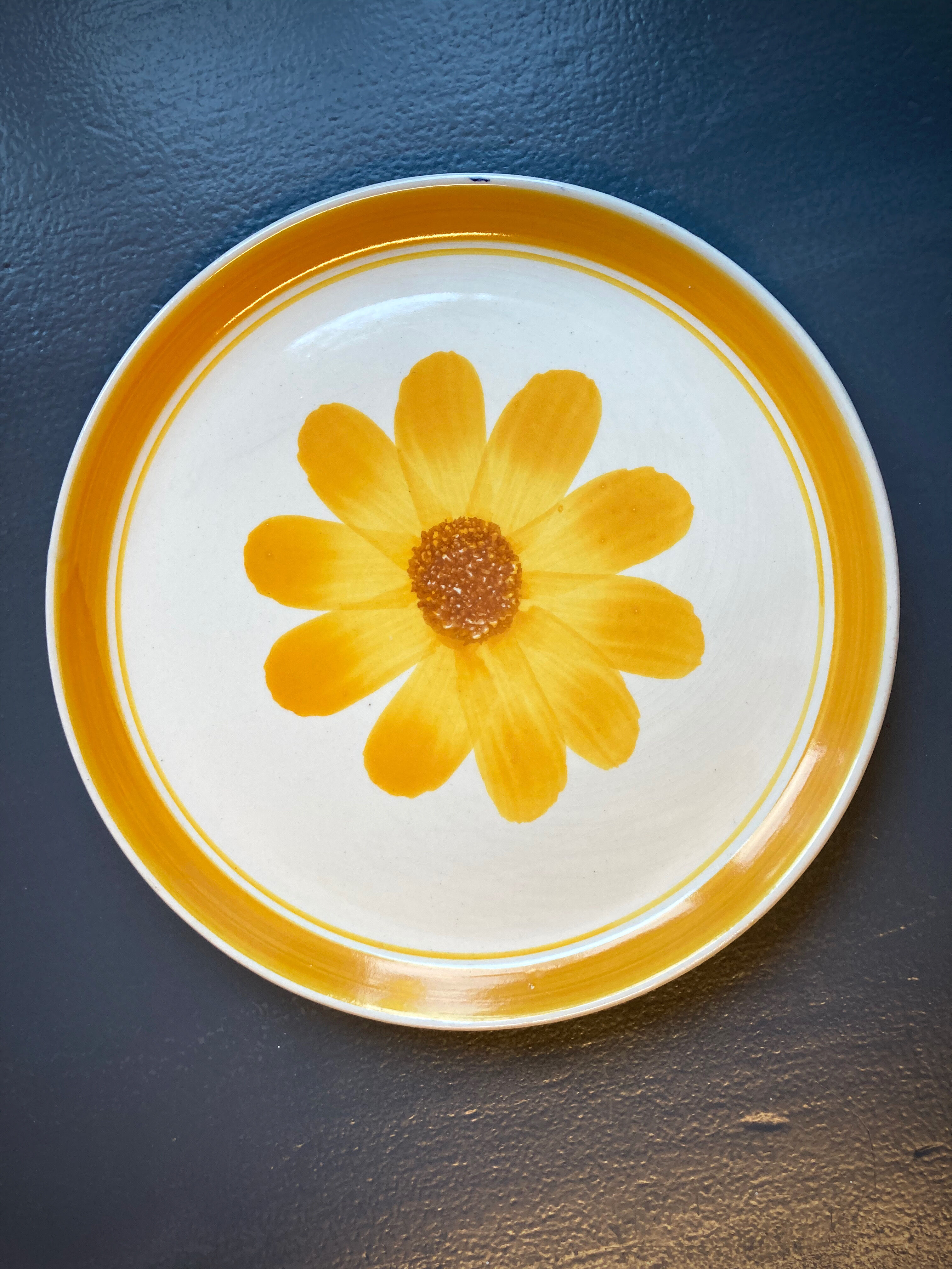 Seven vintage flower power plates