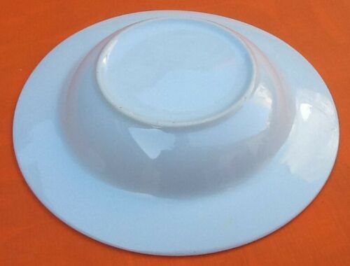 Suite of 6 hollow plates White Porcelain decorated with blue roses