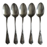Set of 5 spoons