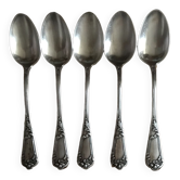 Set of 5 spoons