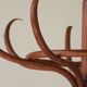 Parrot coat rack