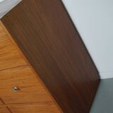 Vintage Mid-Century Dutch Shop / Apothecary Cabinet