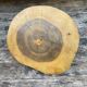 Solid wood cheese platter