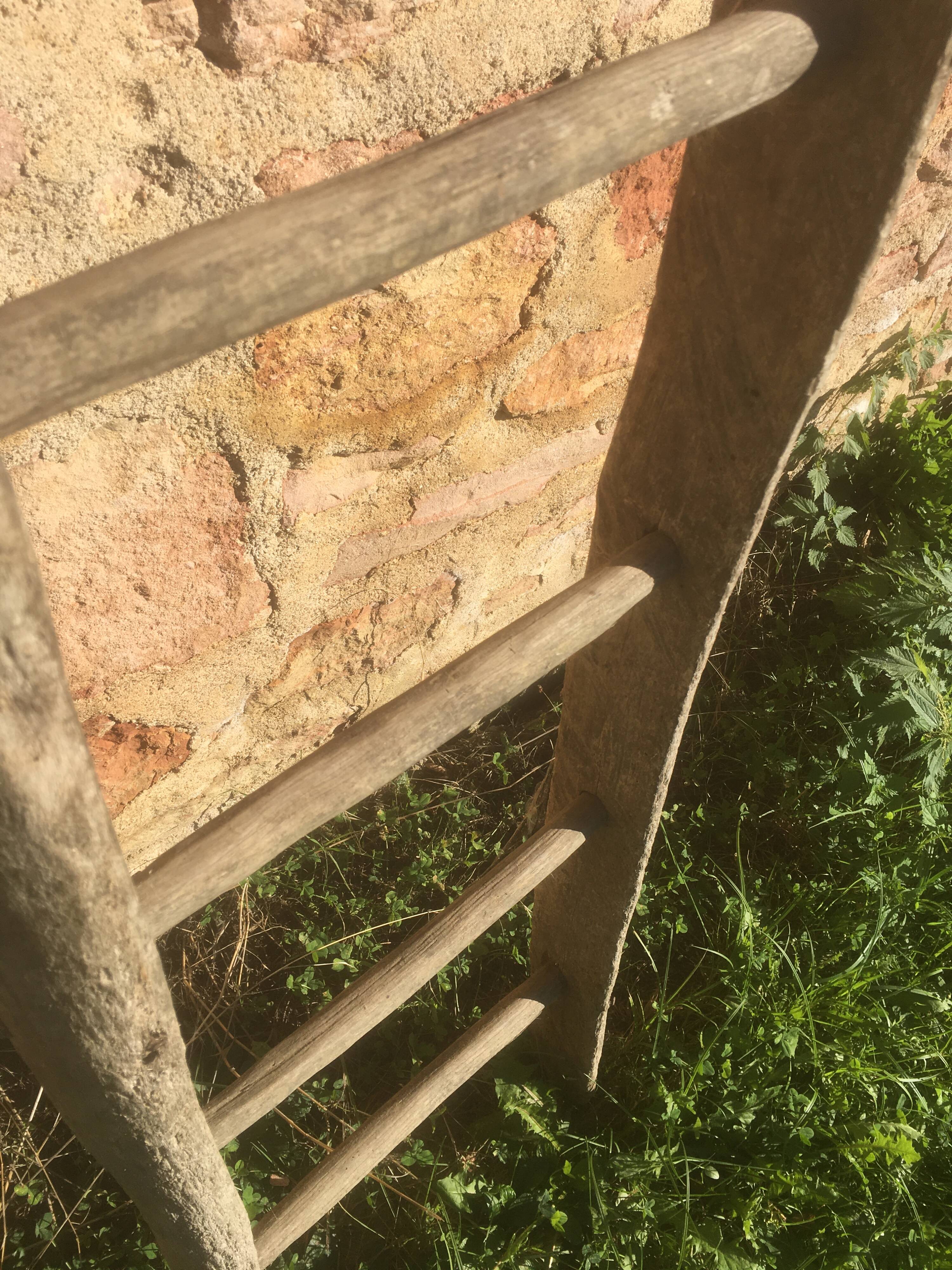 Acacia farm ladder 3/40s