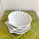 Empty scallop cups ceramic pockets