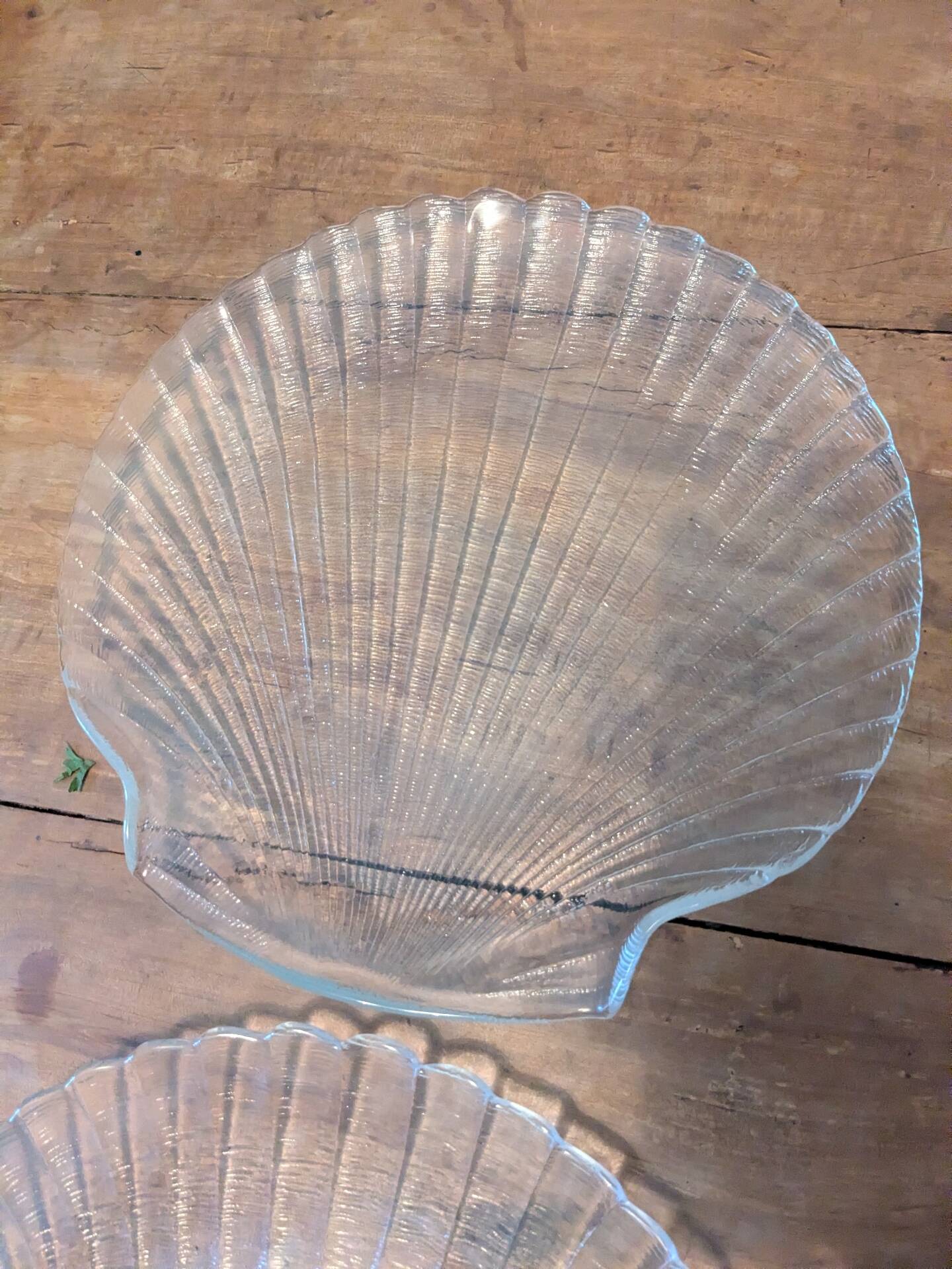 Assiettes coquilles saint jacques