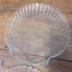 Assiettes coquilles saint jacques