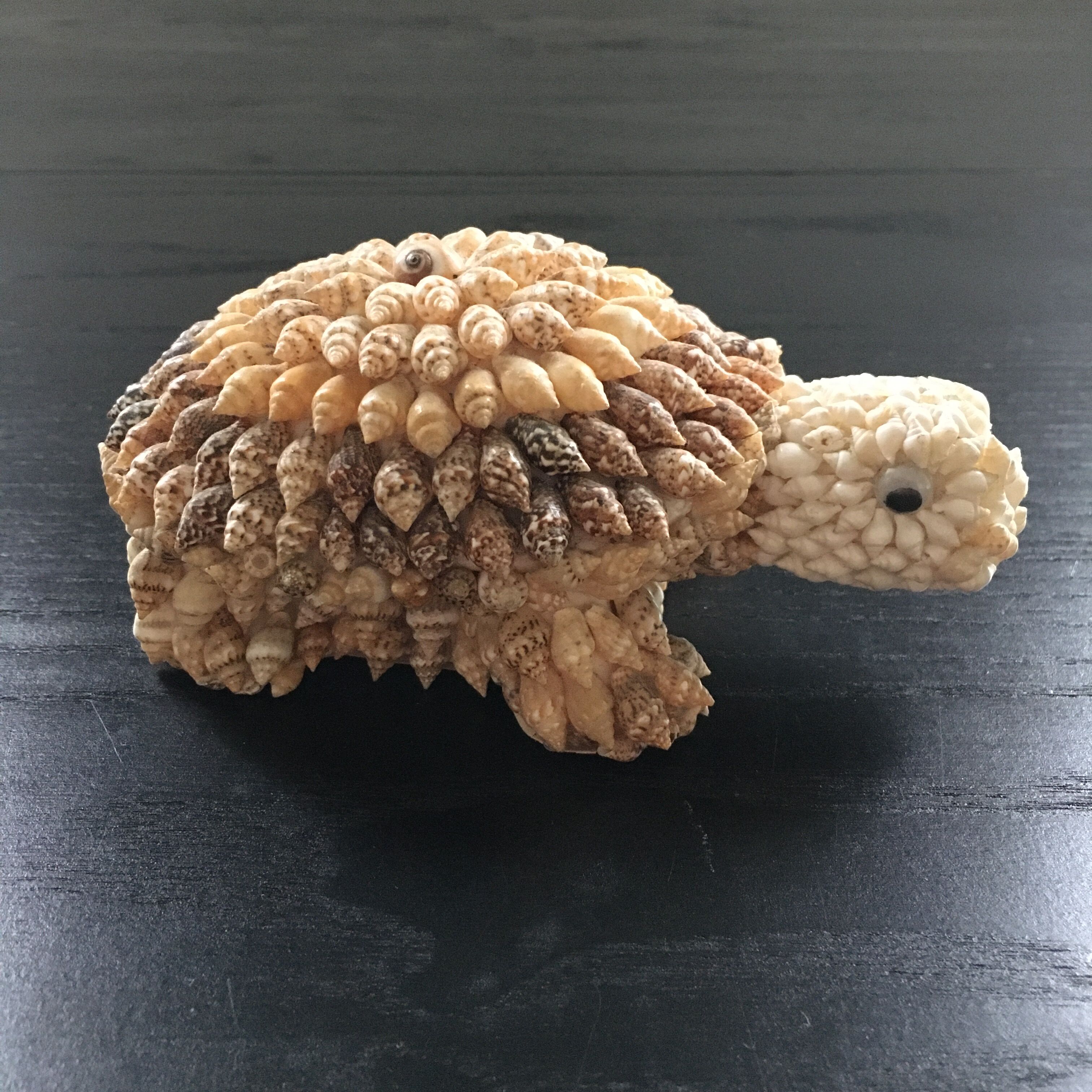 Shell turtle paperweight