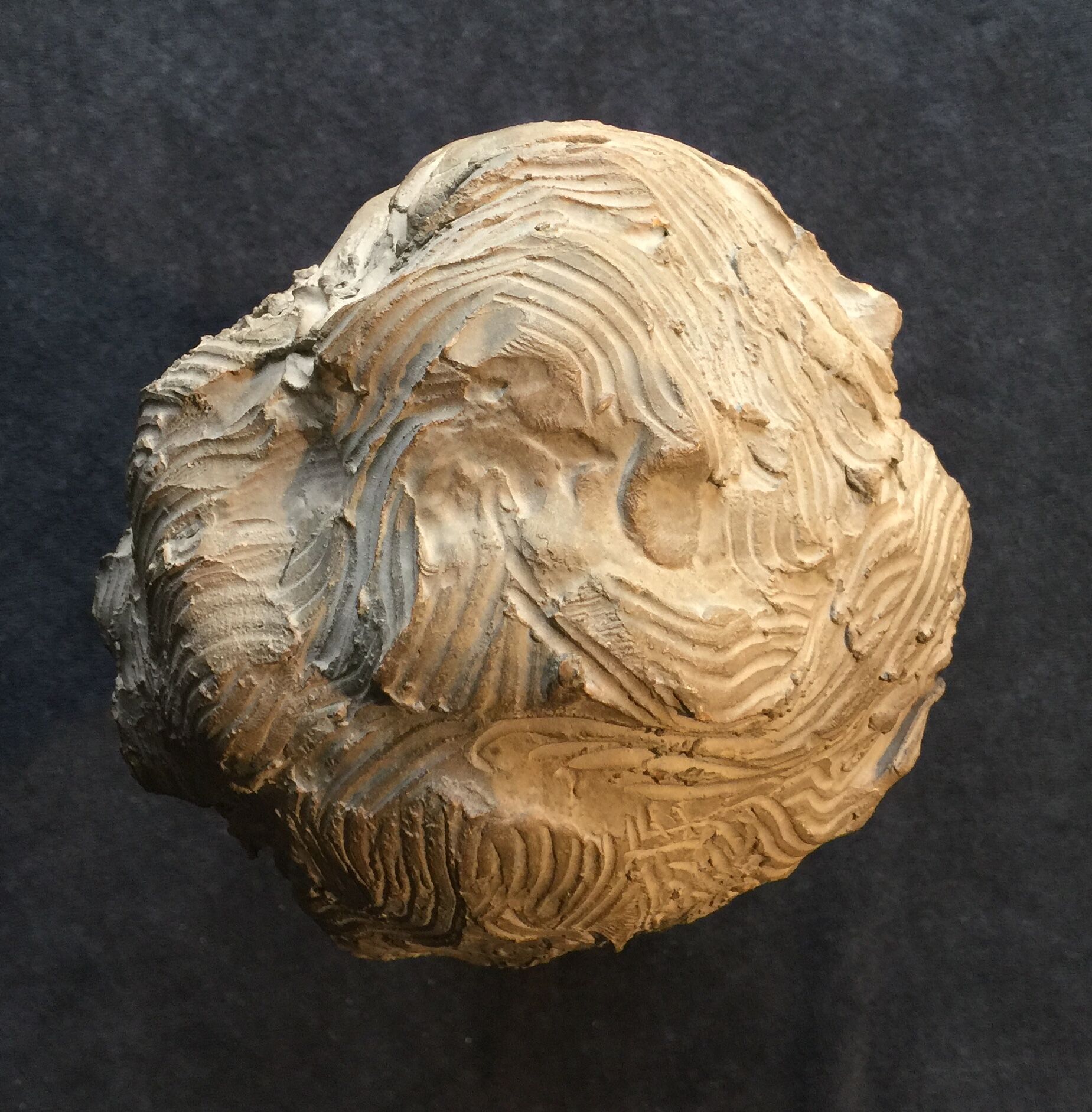 Bust of Richard Wagner by Fernand Cian (edition)