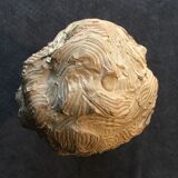 Bust of Richard Wagner by Fernand Cian (edition)