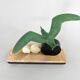 Sculpture Art Déco en marbre, onyx et épeautre