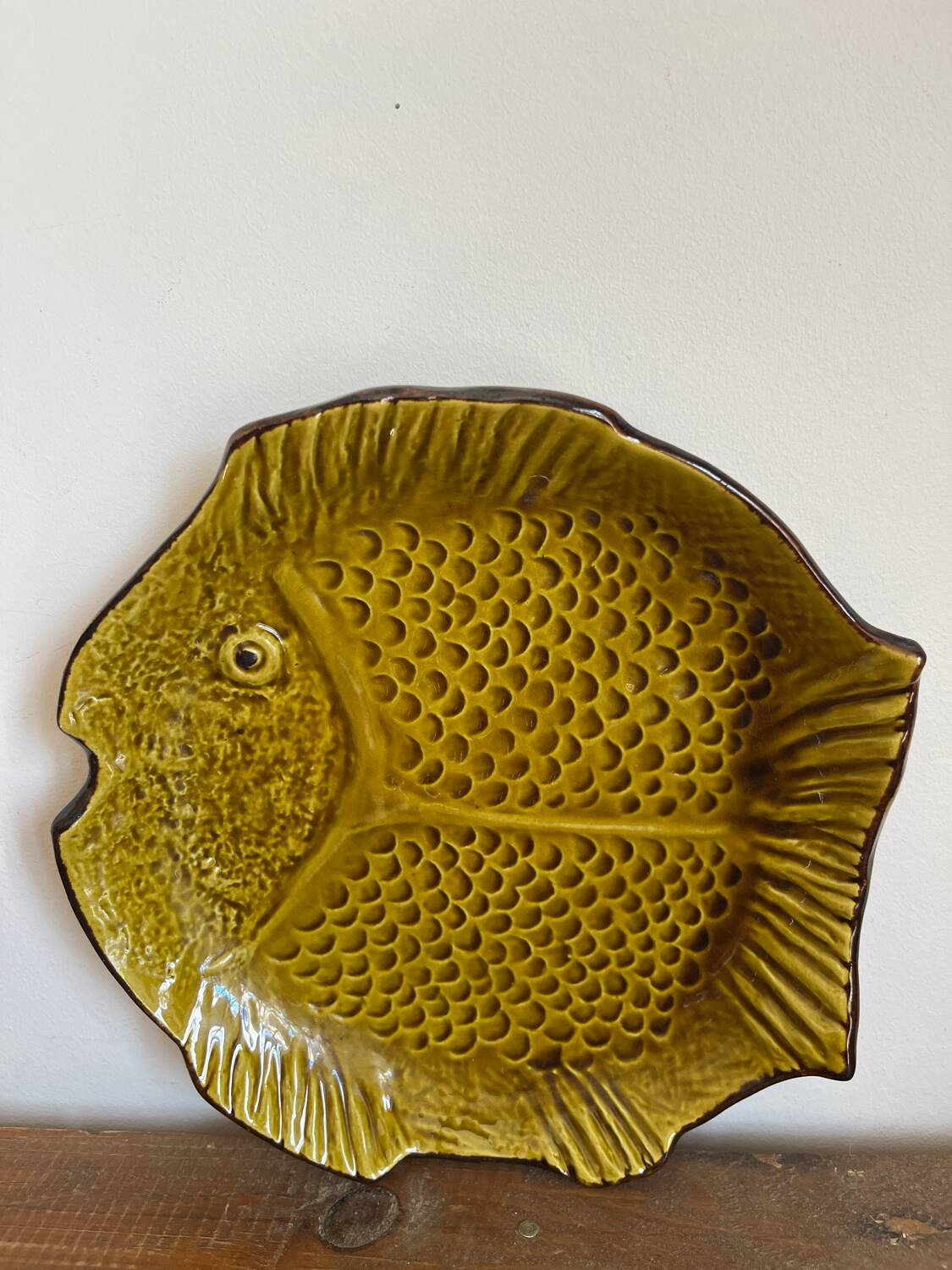 Deep plate fish
