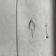 Set of 2 antique botanical drawings, prints, 1st half 20th century