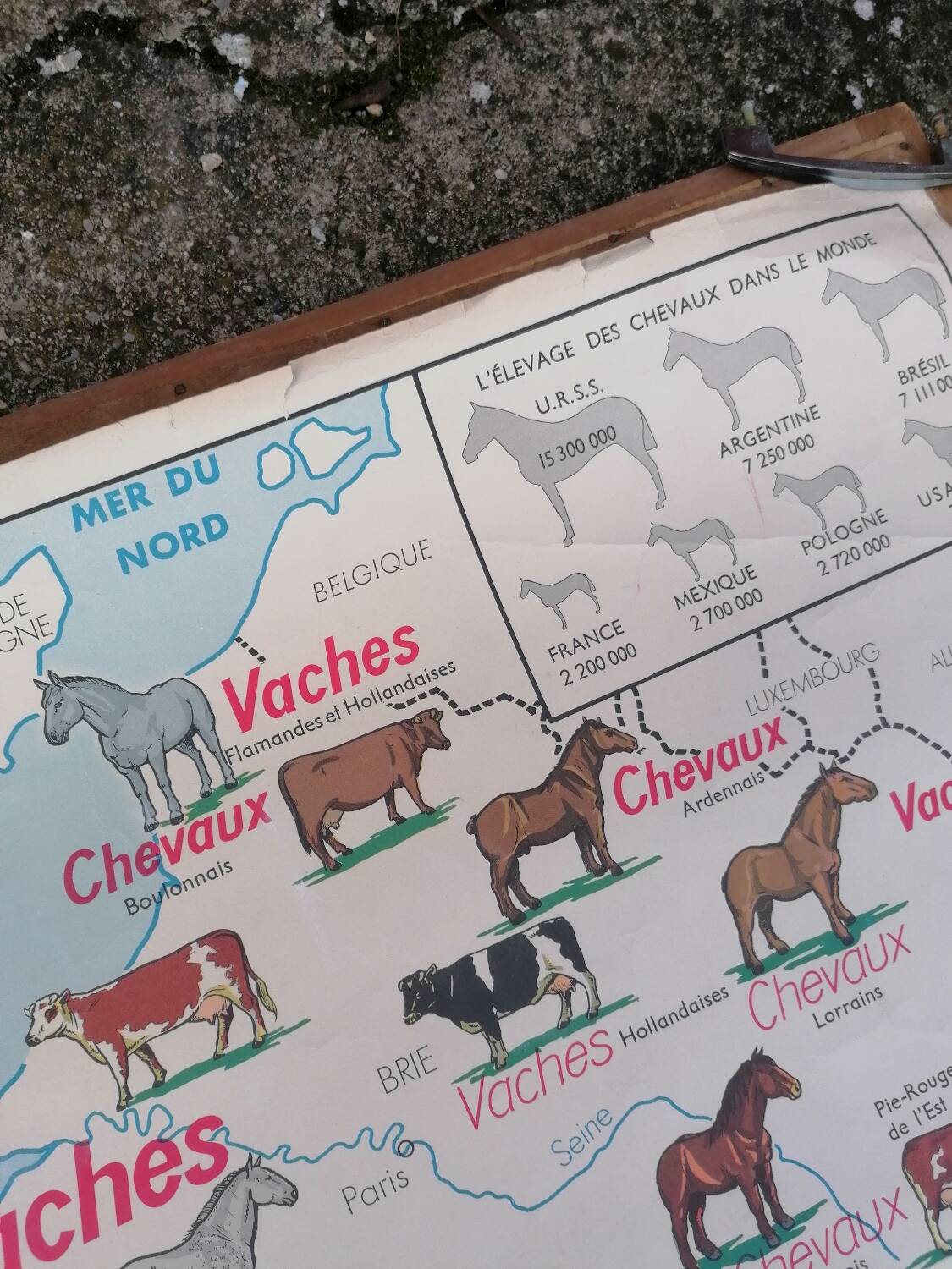 Ancienne affiche scolaire MDI France, le gros élevage et le Rhône.