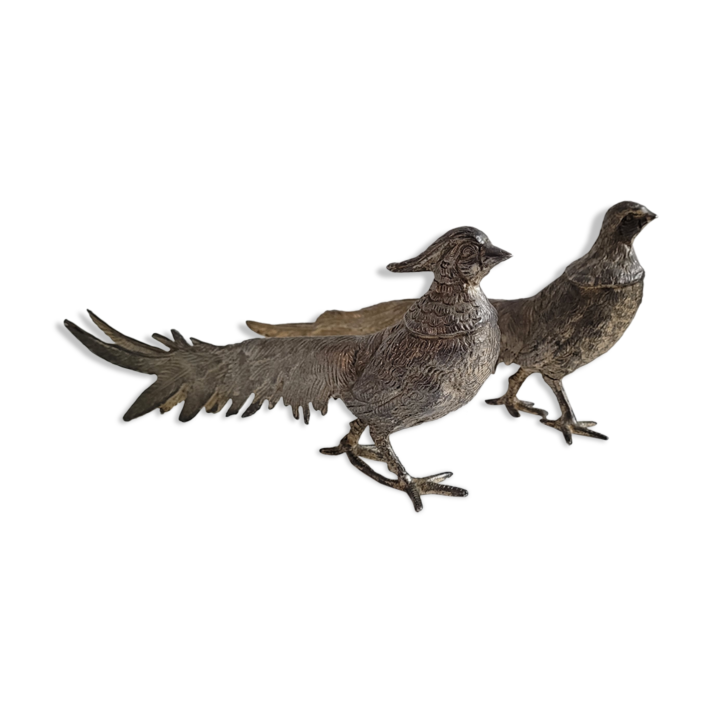 DuO of peacocks