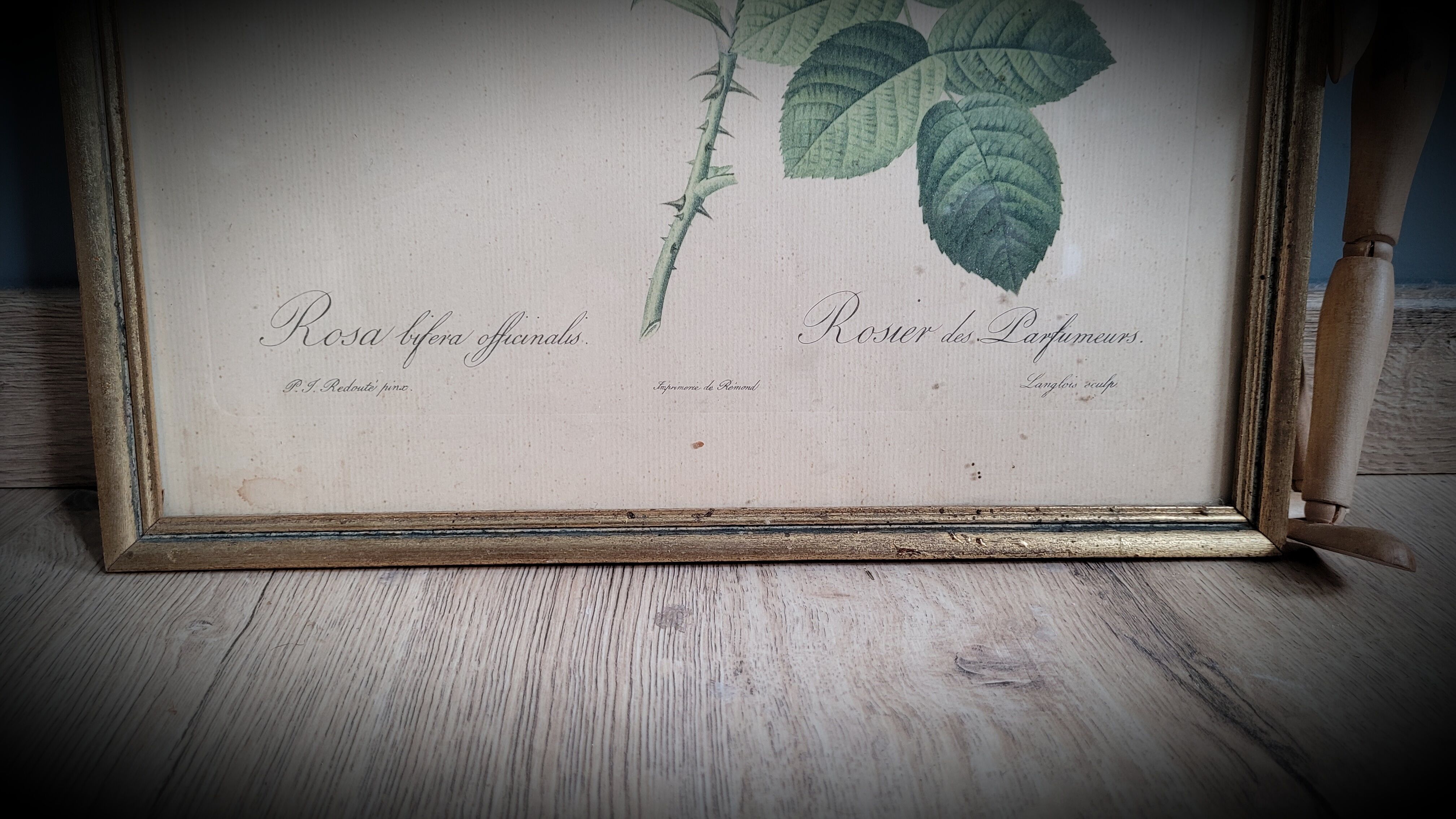 Litho rosier perfumers