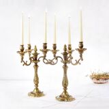 Pair of antique 6-arm bronze candelabras, 19th century