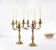 Pair of antique 6-arm bronze candelabras, 19th century