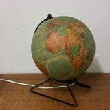 Light globe