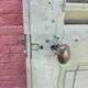 Old shutter door
