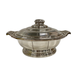 Silver metal vegetable