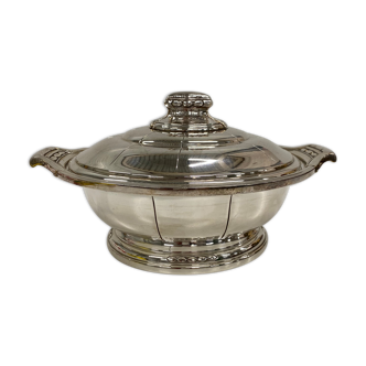 Silver metal vegetable