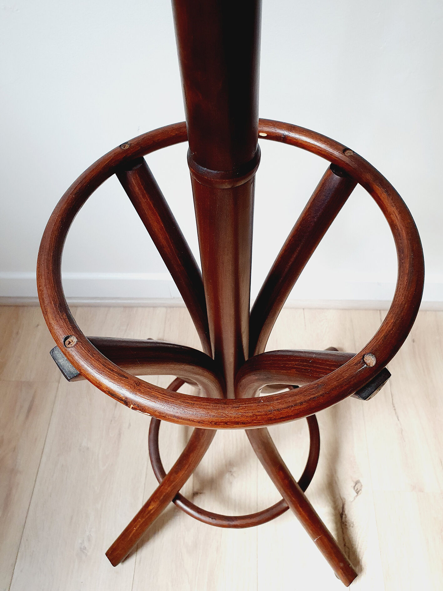 Parrot coat rack in curved wood