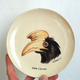 Indochina hornbill plate